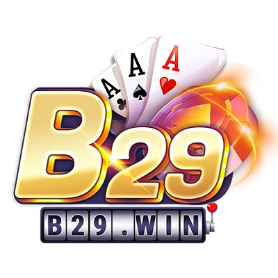 b29 logo