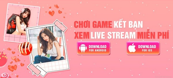 Tại sao QQLive là lựa chọn hàng đầu trong năm 2024